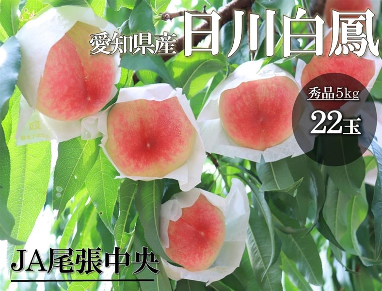 あい様 家庭用桃2箱 専用ページ しのおかの桃 日川白鳳（秀品22玉入り）: あいちゴコロ|【JAタウン