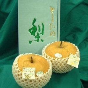 産地直送 通販 お取り寄せとよたの梨 愛宕梨 約1 2 1 4kg 2玉 あいちゴコロ ｊａタウン
