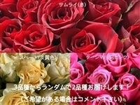 〜山本さん家のバラ〜　2色20本ミックス