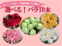 選べる!バラ10本