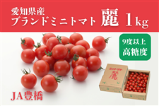 JA�L���@�~�j�g�}�g�y��z