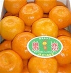 c݂wʗx(ԏGS 5kg)