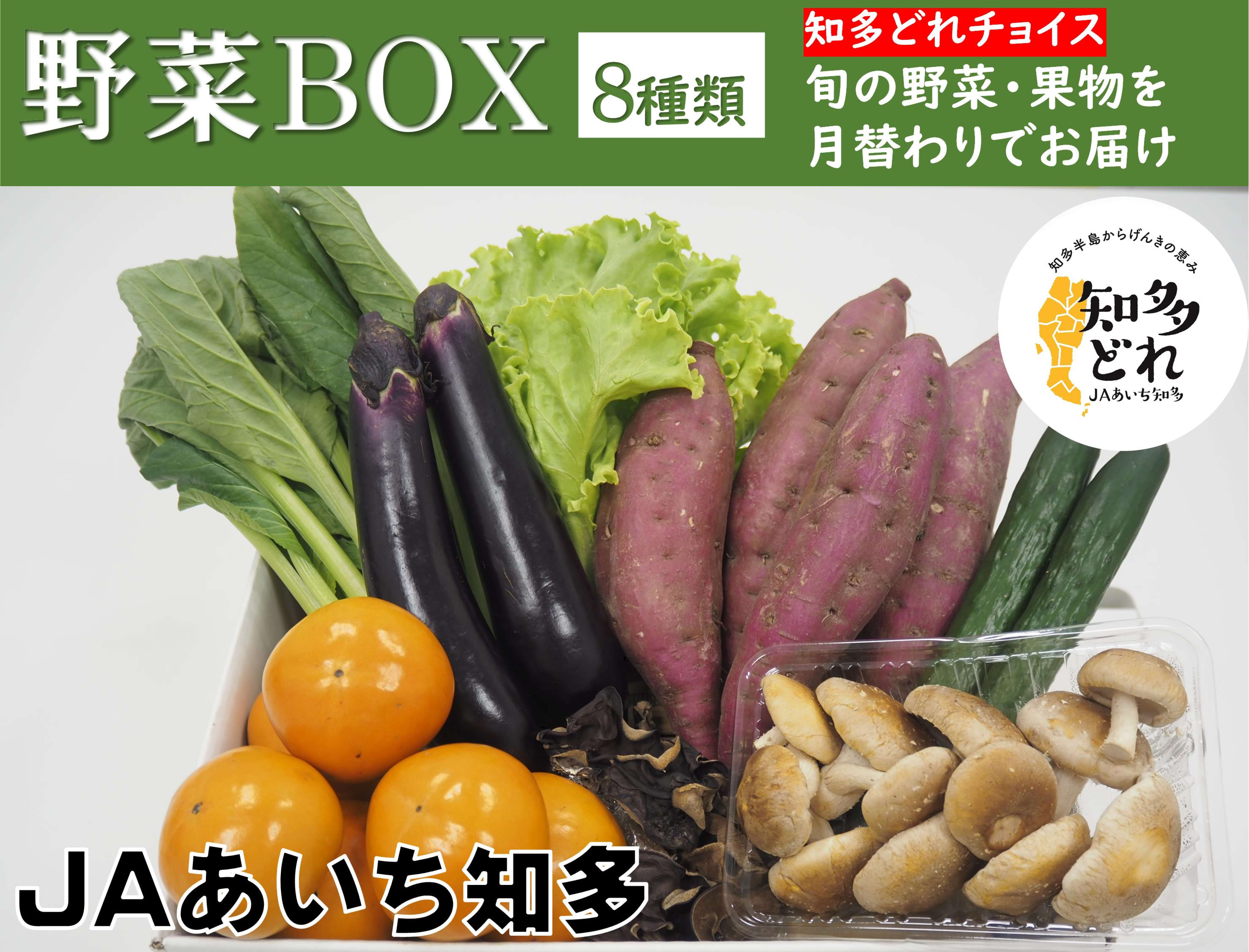yBOXzmǂ`CX@10