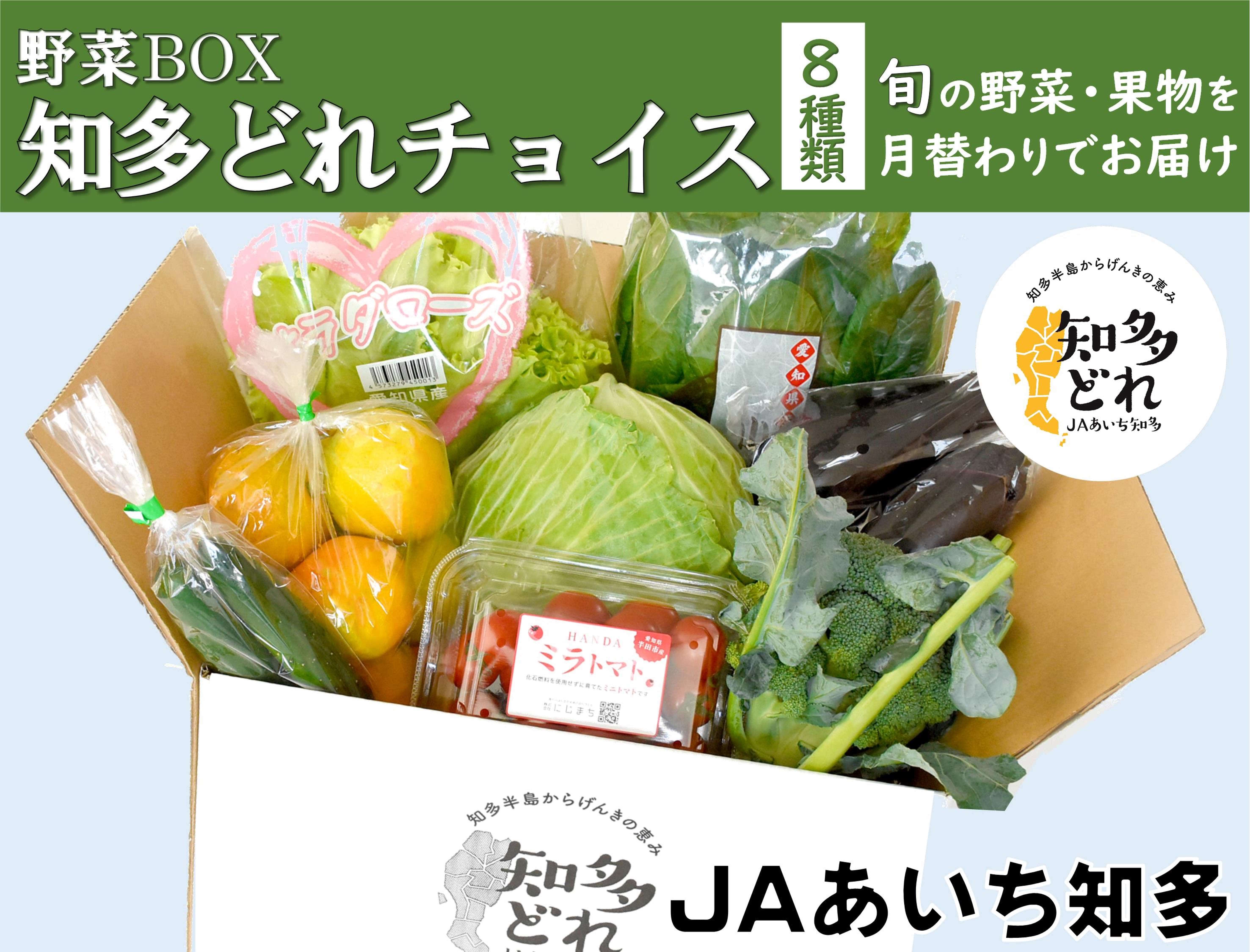 【野菜BOX】知多どれチョイス 12月号
