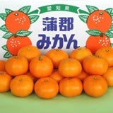 蒲郡みかん 優L10kg: あいちゴコロ|【JAタウン】産地直送 通販 お