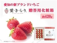 ���m���Y�������w�������x��420g