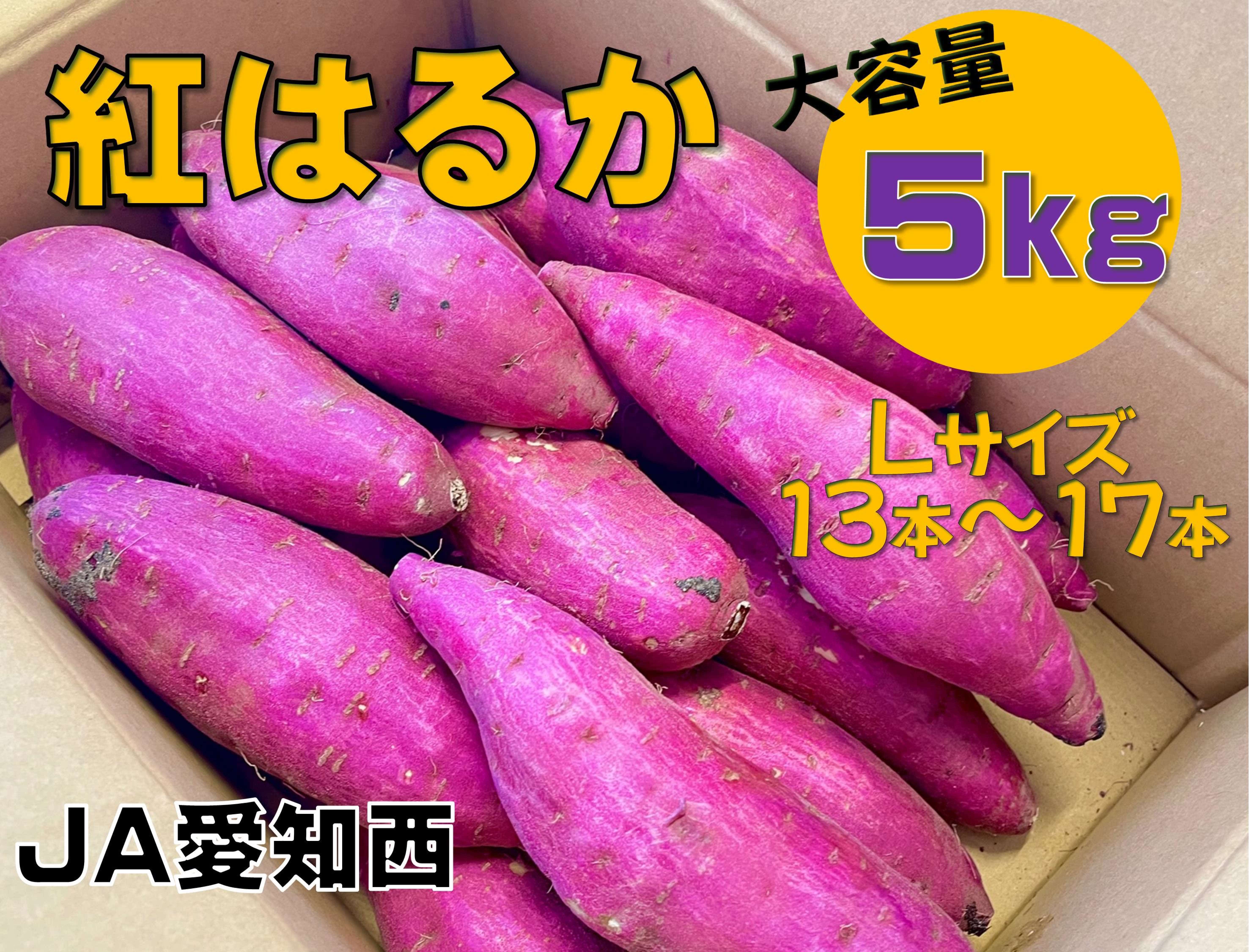 ܂yg͂邩zL5kg (13{`17{)