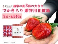 ���m���Y�������w�ł������x��540g