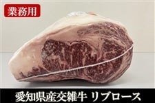 �y�Ɩ��p�z���m���Y���G��(���ʁF���u���[�X)