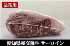 �y�Ɩ��p�z���m���Y���G��(���ʁF�T�[���C��)