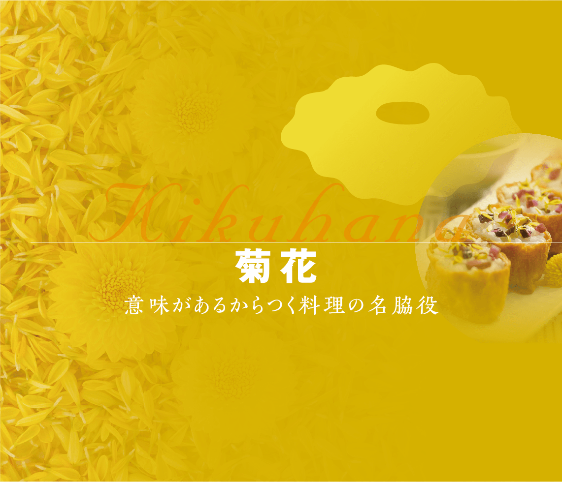 �y�H�p�z���e30pk/�P�[�X(M)