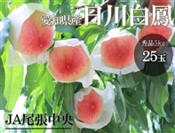 ���̂����̓��@���씒�P�i�G�i25�ʓ���j