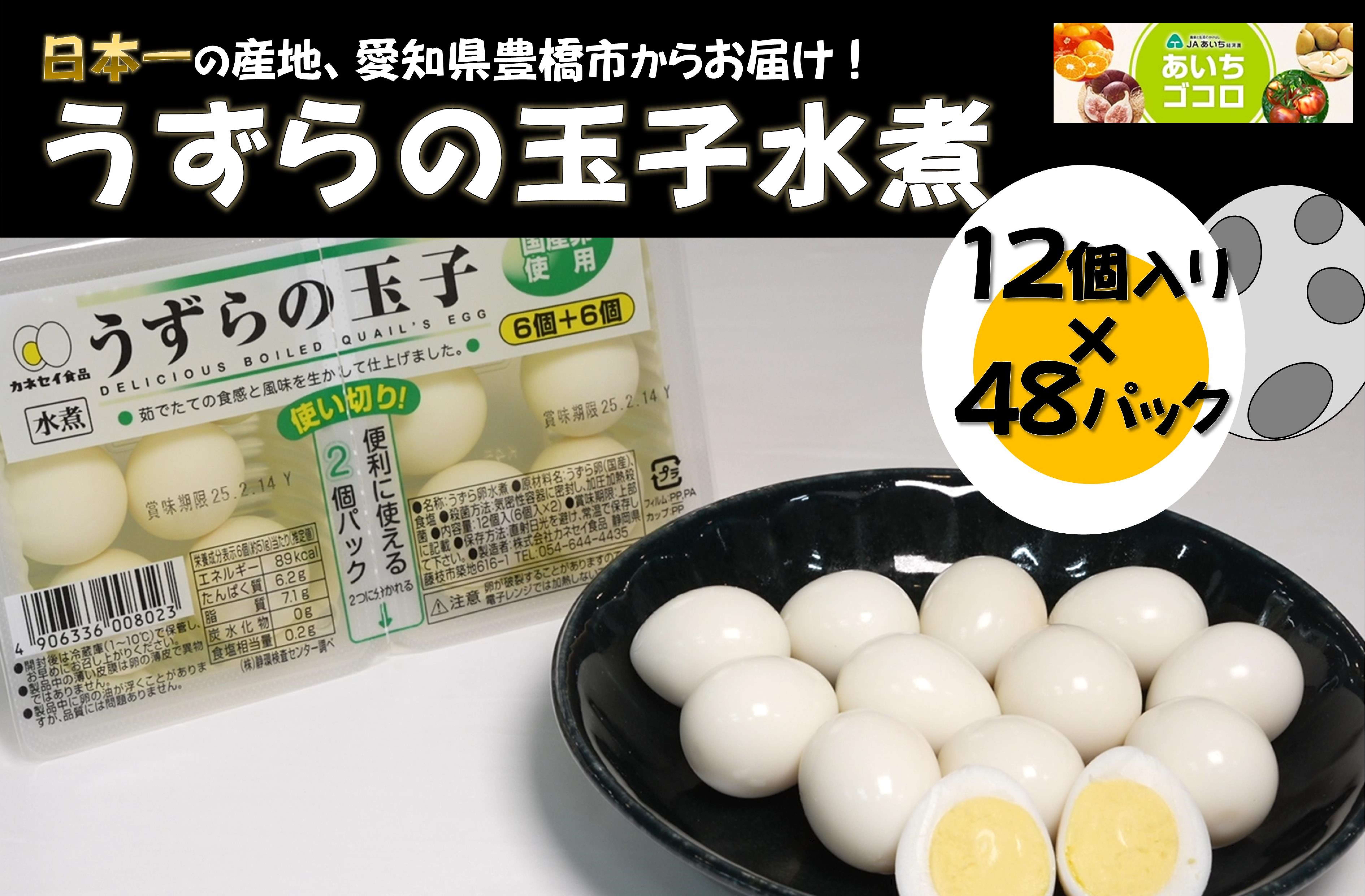 ̋ʎqρi12×48pbNjyԘAgz