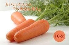 yS_pzyQpz ɂ񂶂wւȂlx@10kg