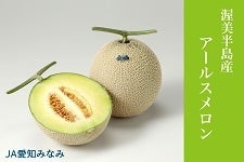 【のし対応不可】芳醇な香りと上品な甘さ~渥美半島産アールスメロン~ (2玉)