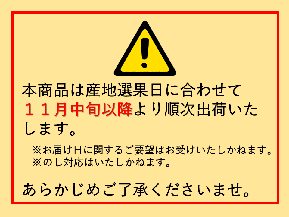 マルゴみかん(温州みかん) 秀品 約5kg Mサイズ JA伊勢 【配送日指定不可】
