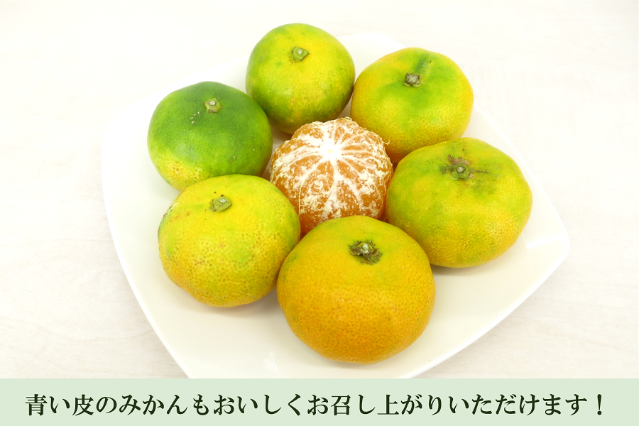 マルゴみかん（極早生） 優品 約5kg Mサイズ JA伊勢: 三重の味自慢 