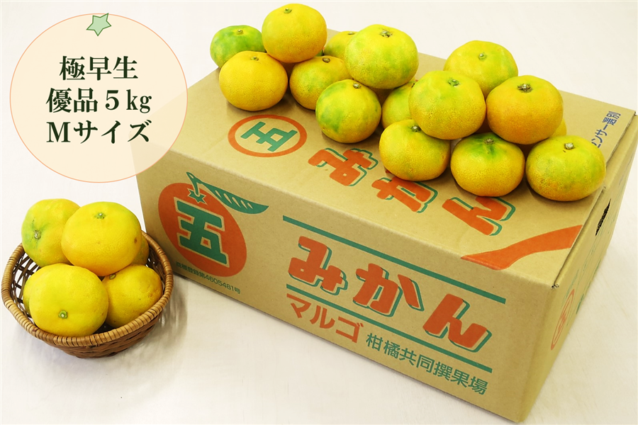 マルゴみかん（極早生） 優品 約5kg Mサイズ JA伊勢: 三重の味自慢 