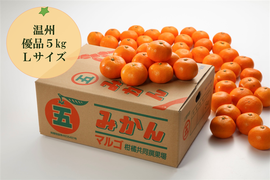 マルゴみかん（温州みかん）　優品　約5kg　Lサイズ　【配送日指定不可】:　JA伊勢　三重の味自慢|【ＪＡタウン】産地直送　通販　お取り寄せ