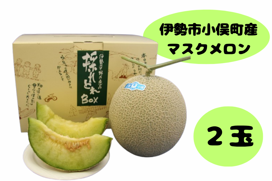 売り切り目標！即購入可！ 伊勢市小俣町産マスクメロン 2玉入り JA伊勢: 三重の味自慢|【JA