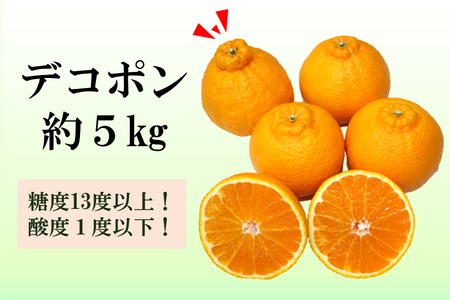 楽天市場】秀品 デコポン（食品）の通販