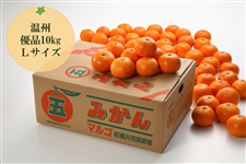 マルゴみかん(温州みかん) 優品 約10kg Lサイズ JA伊勢 【配送日指定不可】