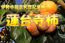 @䎛` ɐY 5kg JAɐyzwsz