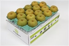 yzwszP (K) 5kg 2L JAӂ邳