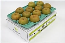 yzwszP (K) 5kg 4L JAӂ邳