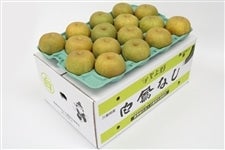 yzwszP (K) 10kg 2L JAӂ邳
