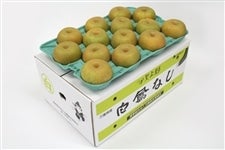yzwszP (K) 10kg 3L JAӂ邳