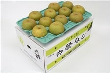 yzwszP (L) 10kg 4L JAӂ邳