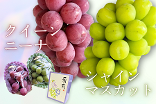 Ԃǂ@VC}XJbgENC[j[i@eP[l@900g JAӂ邳Ɓ@zws