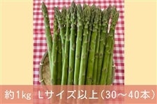 �ɉ�̃A�X�p���K�X�iL�T�C�Y�ȏ�E��1kg 30�`40�{�jJA�����ӂ邳��