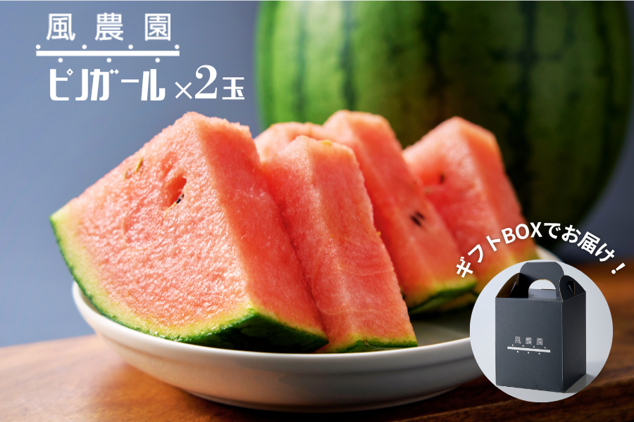 yMtgɂ҂Iz_̏ʃXCJQʁusmK[vizwsj`ā`