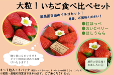 限定】いちご農家「風農園」が選ぶ！旬のいちご食べくらべセット ※配送 