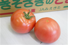 三重県産トマト（16〜20玉） JAみえきた 【業務用にも！】