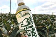 鈴鹿茶ペットボトル （500ml×24本） JA鈴鹿