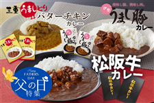 父の日】三重県ご当地カレーセット 200g×6箱: 三重の味自慢|【JA
