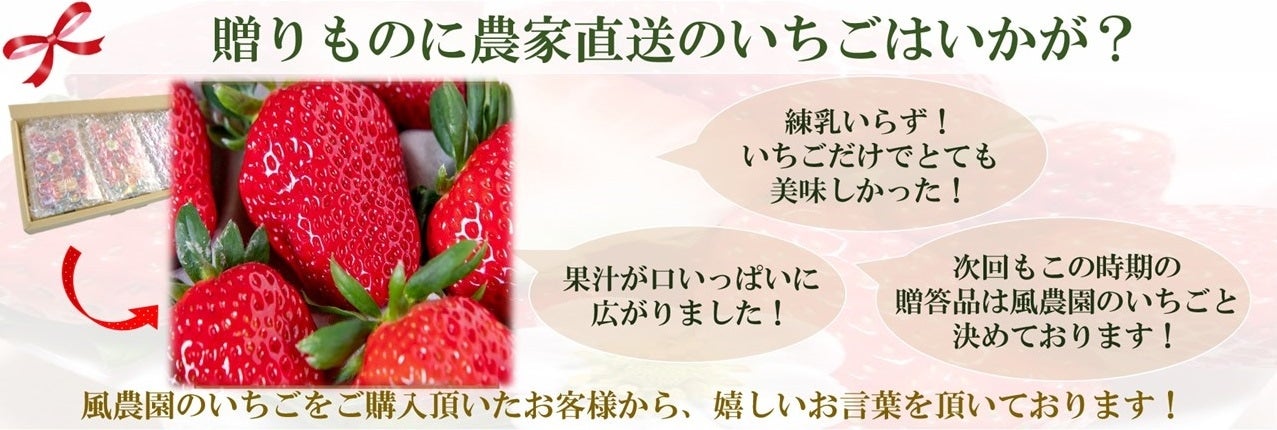 超大粒　３～５粒入×３パック】三重県産いちご　1粒　※配送日・粒数の指定不可（粒数が変更となる場合がございます。）:　風農園　紅ほっぺ　通販　40ｇ以上！！　三重の味自慢|【ＪＡタウン】産地直送　お取り寄せ