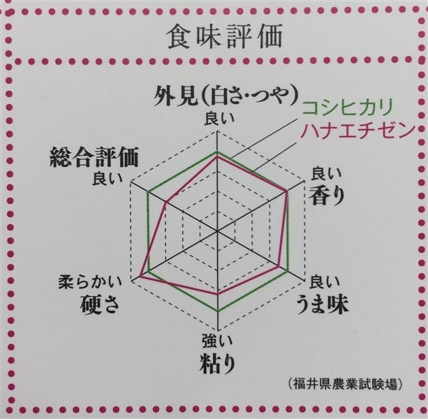 新米】福井県産 華越前 令和5年産 10kg: 越前わかさ味浪漫|【ＪＡ