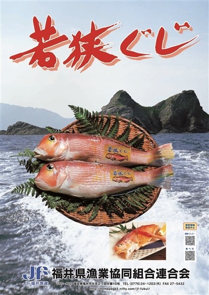 産地直送 通販 お取り寄せ若狭ぐじ一汐一夜干 約500g 1尾 福井県産 越前わかさ味浪漫 ｊａタウン