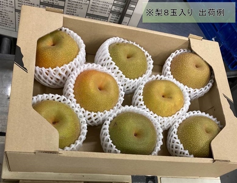 産地直送 通販 お取り寄せ ご家庭用 豊水梨 約３ｋｇ 越前わかさ味浪漫 ｊａタウン