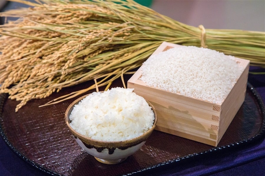 お歳暮】 いちほまれ10Kg＿福井県産＜令和6年産＞: 越前わかさ味