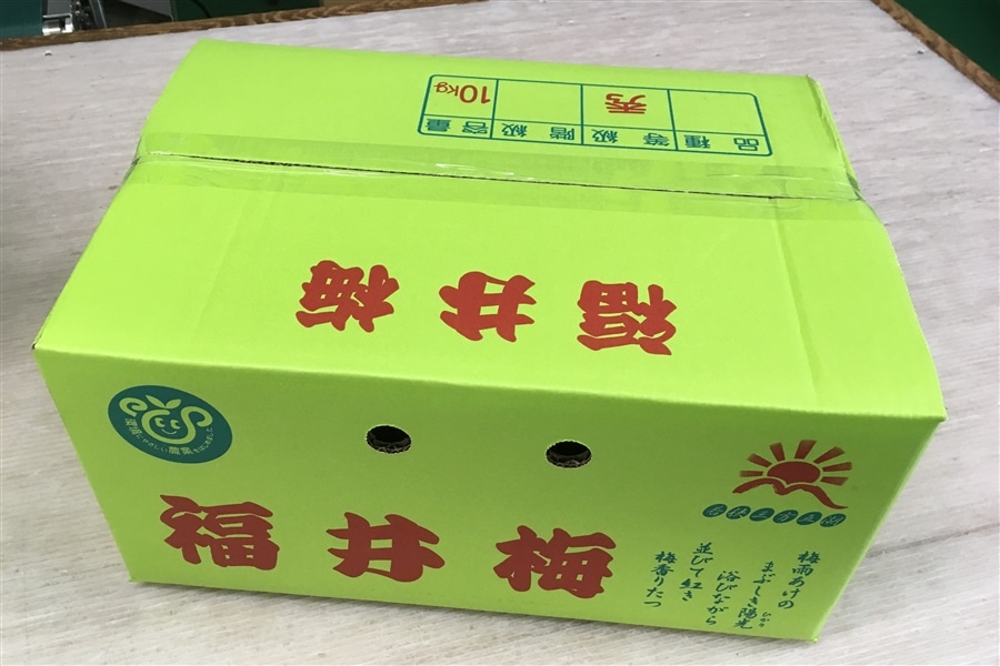 紅映(べにさし)青梅M約10Kg【6月15日以降より順次発送】: 越前わかさ味