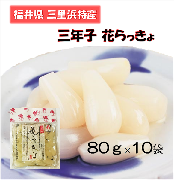 通販　三年子　越前わかさ味浪漫|【ＪＡタウン】産地直送　80g×10袋:　花らっきょ　お取り寄せ