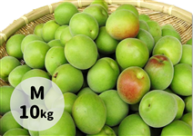 �g�f(�ׂɂ���)�~M��10Kg�y6��15���ȍ~��菇�������z