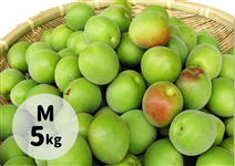 �g�f(�ׂɂ���)�~M��5Kg�y6��15���ȍ~��菇�������z
