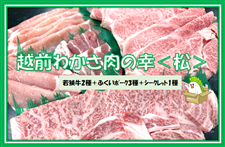 y~̕܁zzO킩̍KyN1222菇z