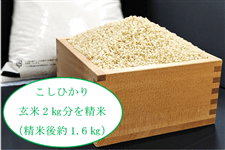 産地直送 通販 お取り寄せコシヒカリ ｊａタウン